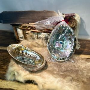 Medium Abalone Smudging Shell